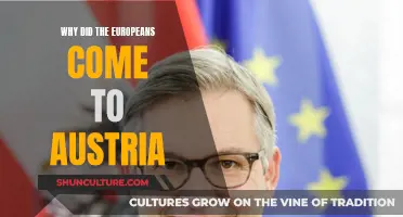 Exploring Austria: European Migration and Settlement Reasons
