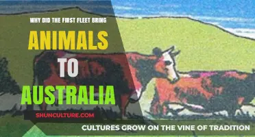 Animals on the First Fleet: Purpose and Impact on Australia
