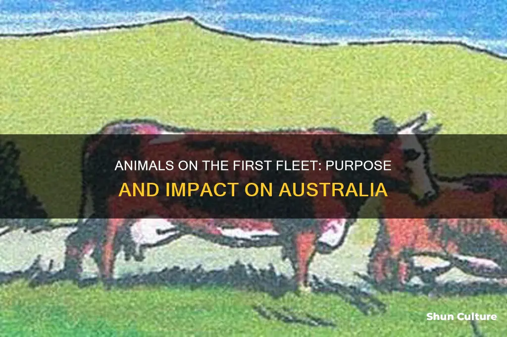 why did the first fleet bring animals to australia