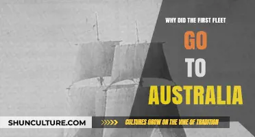 Exploring the Reasons Behind the First Fleet's Journey to Australia