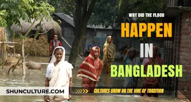 Unraveling the Devastating Causes of Bangladesh's Catastrophic Flood Crisis