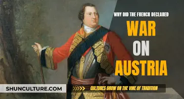 France's War on Austria: The Reasons Behind It