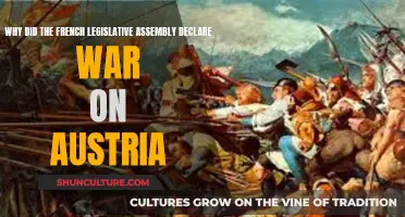 French Revolution's War Declaration: A Political Uprising Against Austria