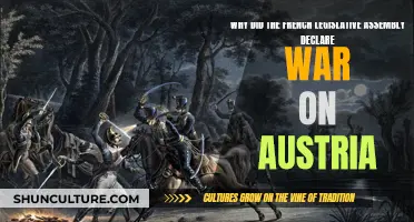 Legislative Assembly's War Declaration: France vs. Austria