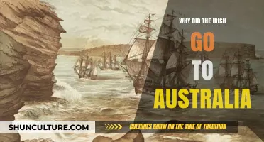 Irish Migration to Australia: Historical Push Factors and New Beginnings