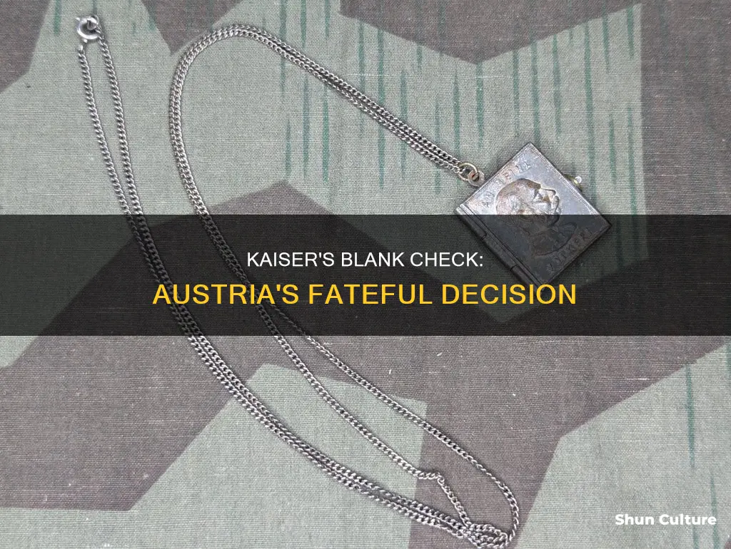 why did the kaiser give austria a blank check