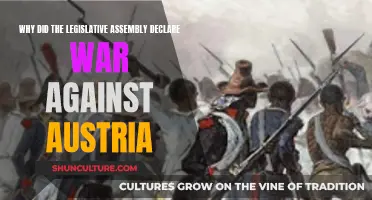 Legislative Assembly's Declaration of War Against Austria: Why?