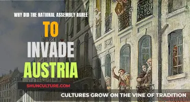 Invasion of Austria: National Assembly's Decision Explained