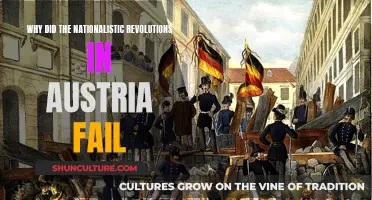 A Nation's Unfulfilled Dreams: Austria's Revolutionary Struggles