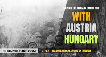 Ottoman Empire's Complex Alliance with Austria-Hungary
