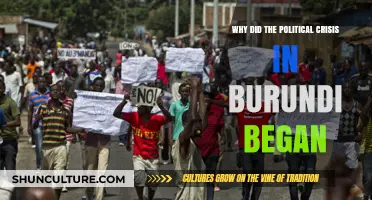 Unraveling the Roots of Burundi's Political Turmoil