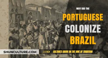 Portuguese Colonization of Brazil: Motives, Strategies, and Lasting Impacts