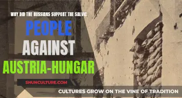 Salvic People: Russia's Support Against Austria-Hungary
