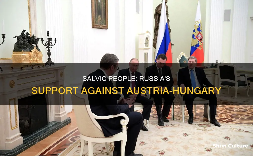 why did the russians support the salvic people against austria-hungary