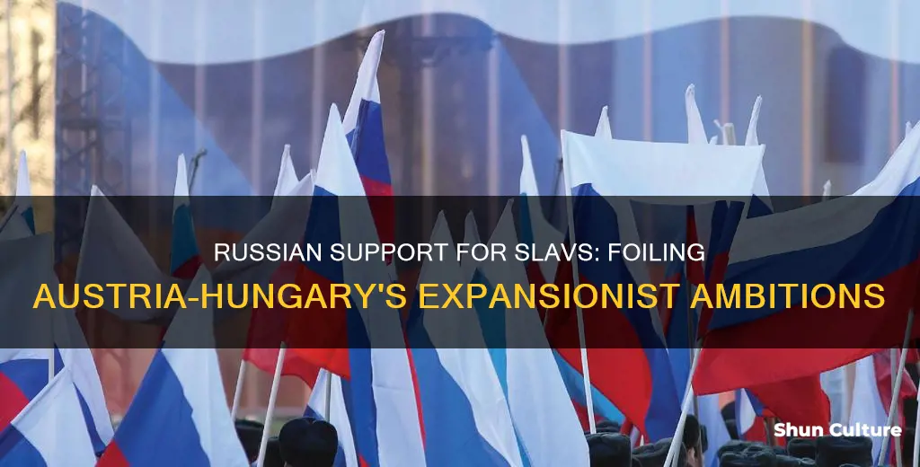why did the russians support the slavic people against austria-hungary