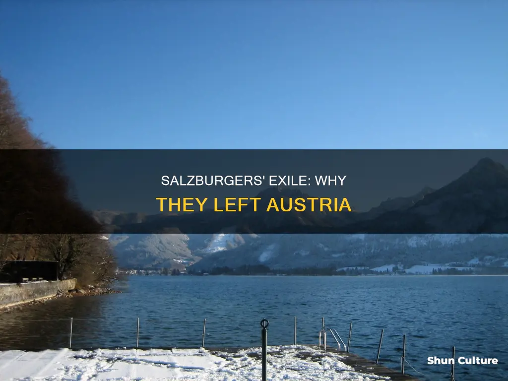 why did the salzburgers have to leave their native austria