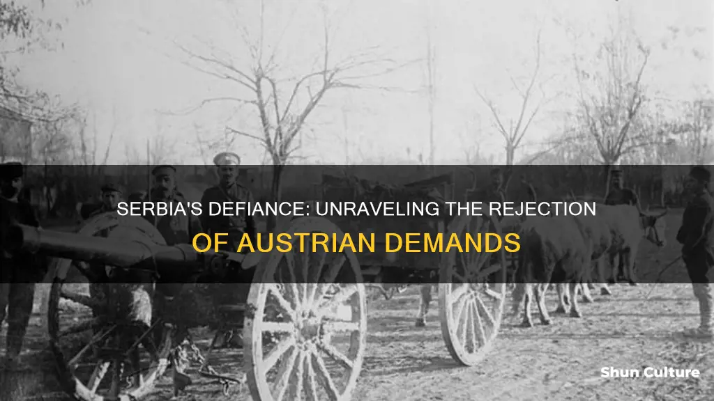 why did the serbians not accept the austrian demands