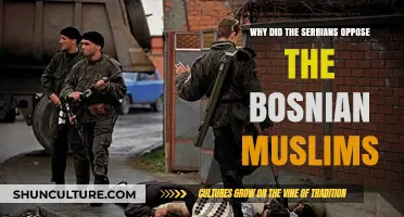 Serbian-Bosnian Muslim Tensions: Historical Roots and Political Opposition Explained