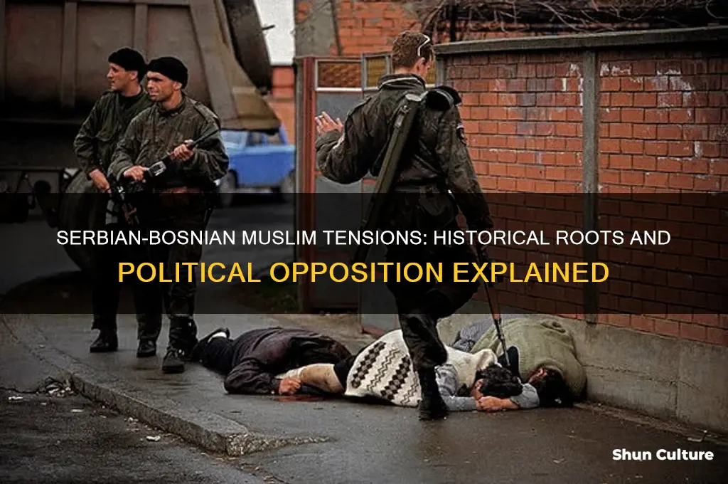 why did the serbians oppose the bosnian muslims