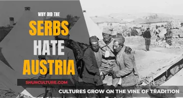 The Serbian-Austrian Rivalry: A Historical Hatred Explored