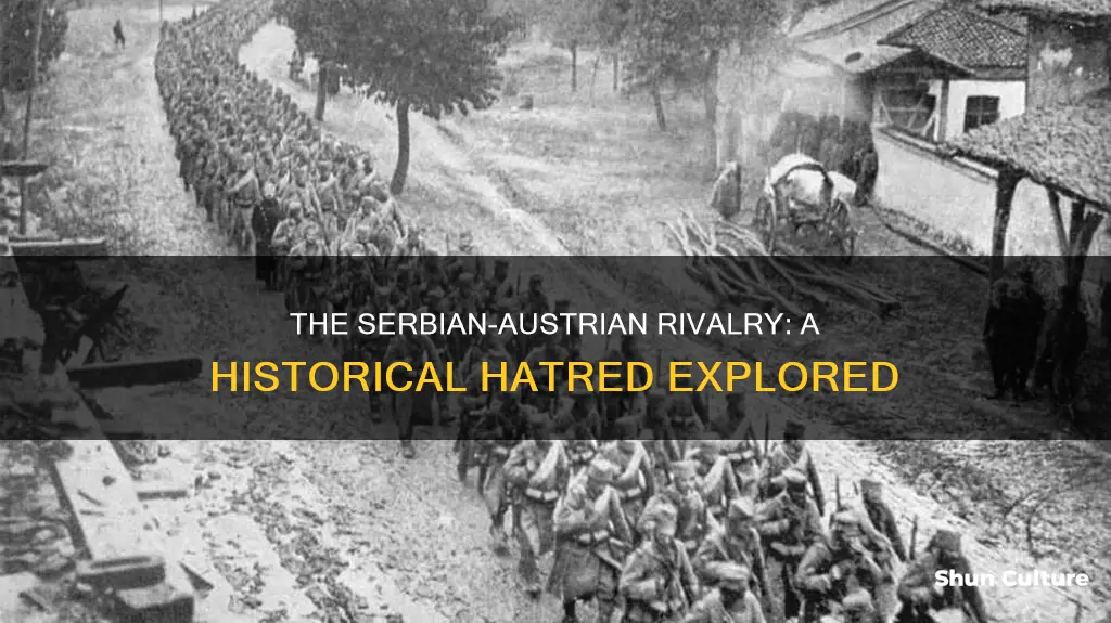 why did the serbs hate austria