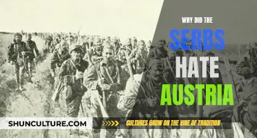 Serbs' Hatred for Austria: Understanding Historical Animosity