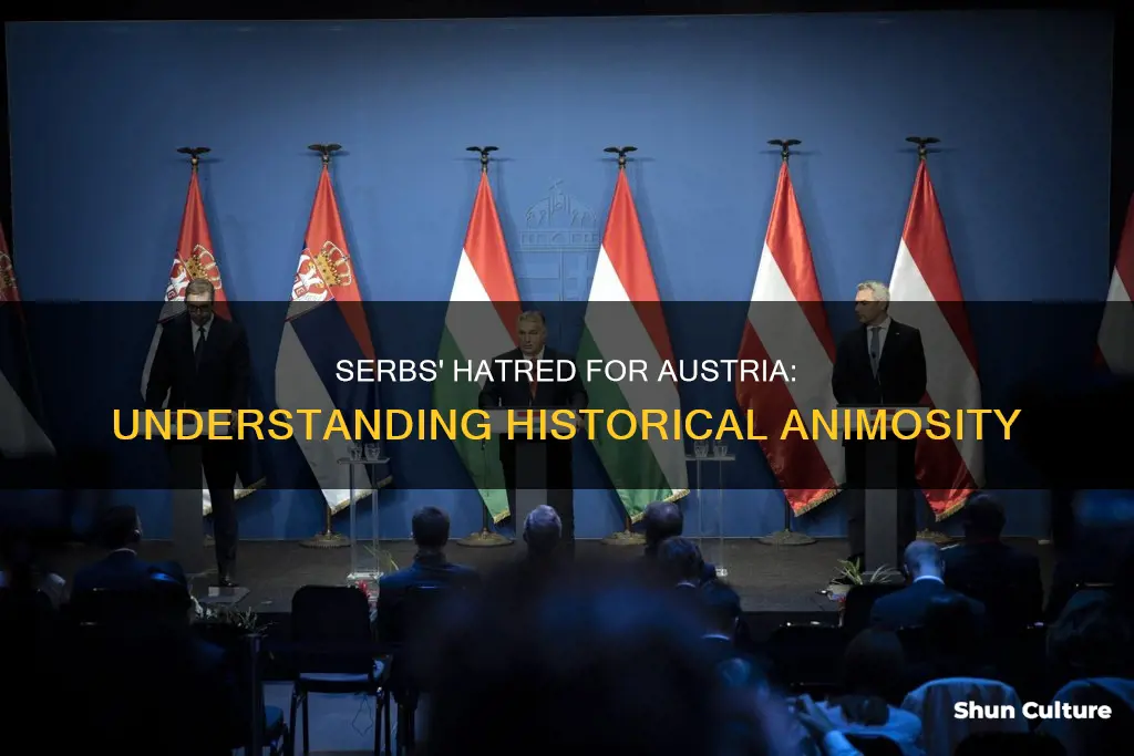 why did the serbs hate austria