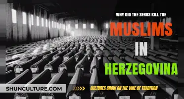 The Herzegovina Massacre: Unraveling the Serb-Muslim Conflict's Dark History