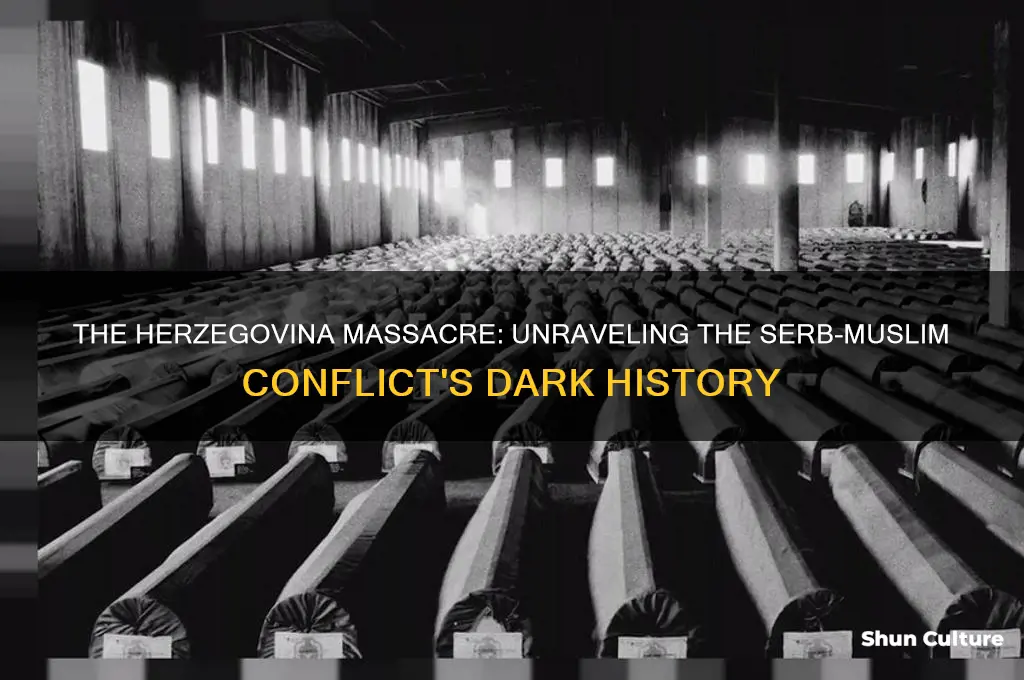 why did the serbs kill the muslims in herzegovina