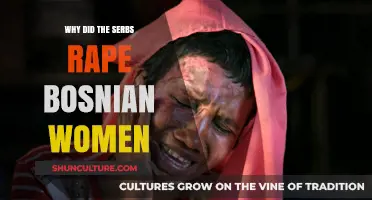 The Bosnian War's Dark Legacy: Understanding Serb Rape Campaigns
