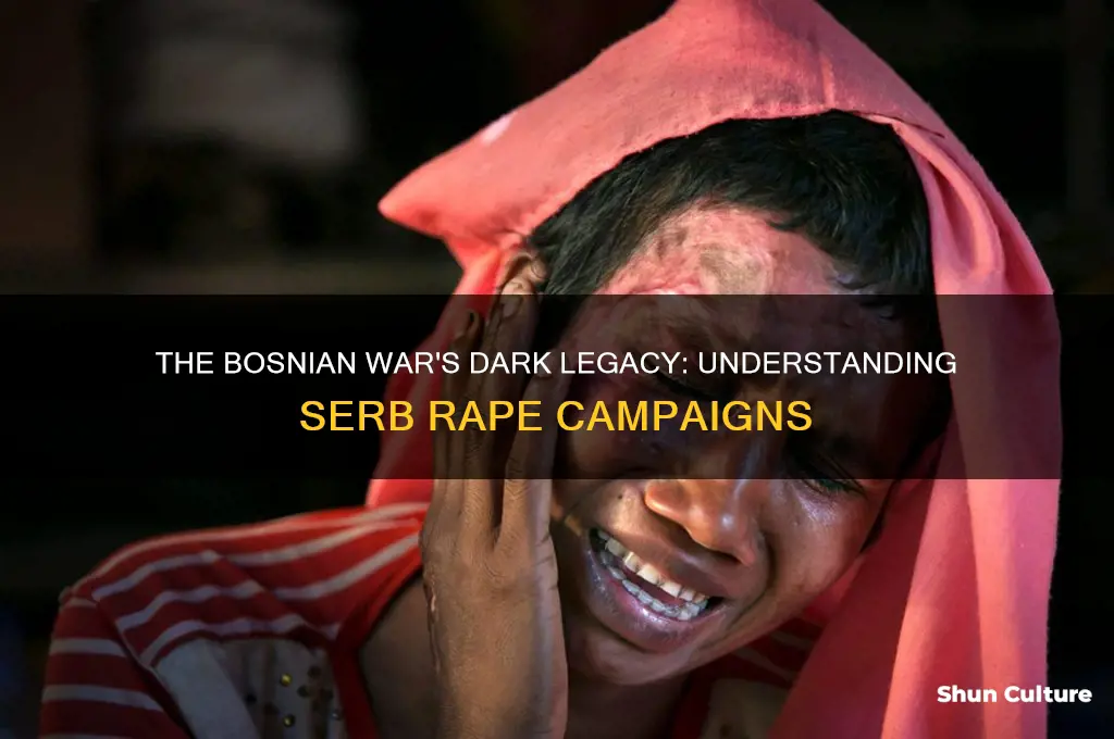 why did the serbs rape bosnian women
