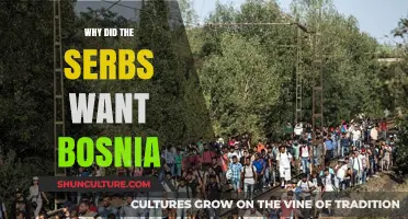 Why Serbs Sought Control of Bosnia: Historical and Political Insights