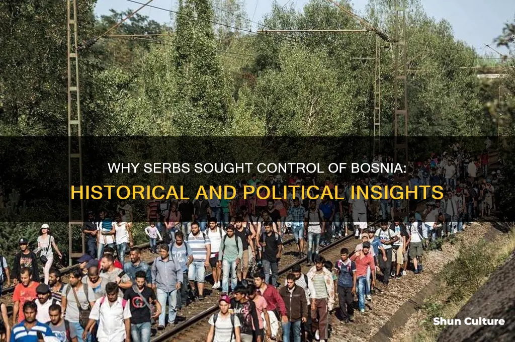 why did the serbs want bosnia