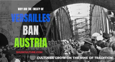Austria's Treaty of Versailles: What Led to the Ban?