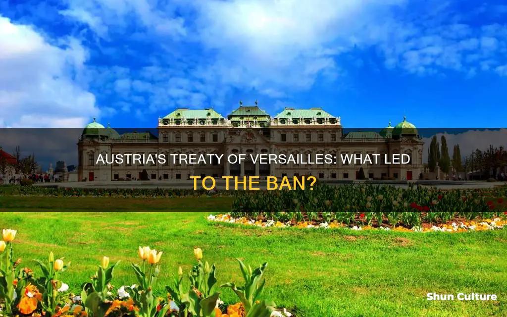 why did the treaty of versailles ban austria