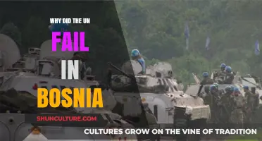 UN's Failure in Bosnia: A Critical Analysis of Its Shortcomings