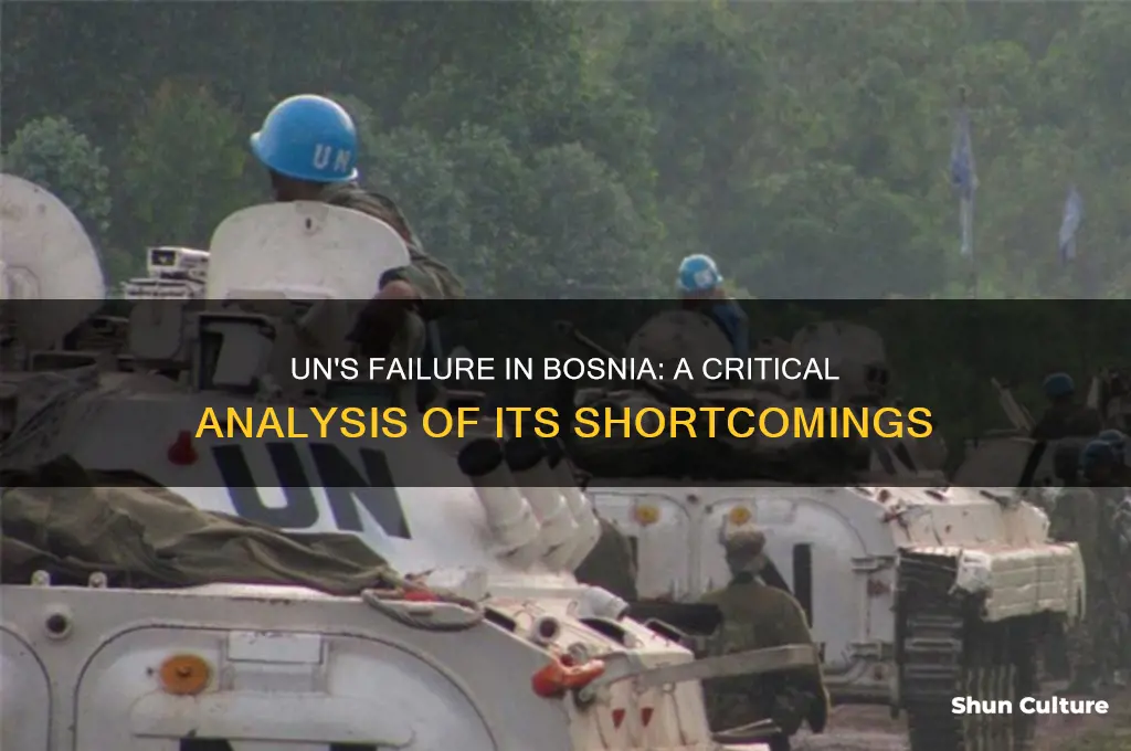 why did the un fail in bosnia