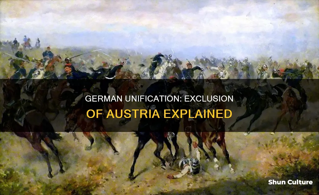 why did the unificaition of geman confederations leave out austria