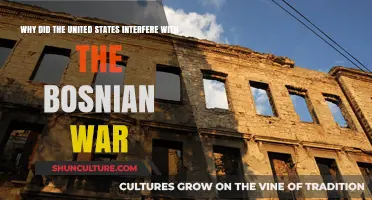 US Intervention in Bosnia: Motivations and Consequences of American Involvement