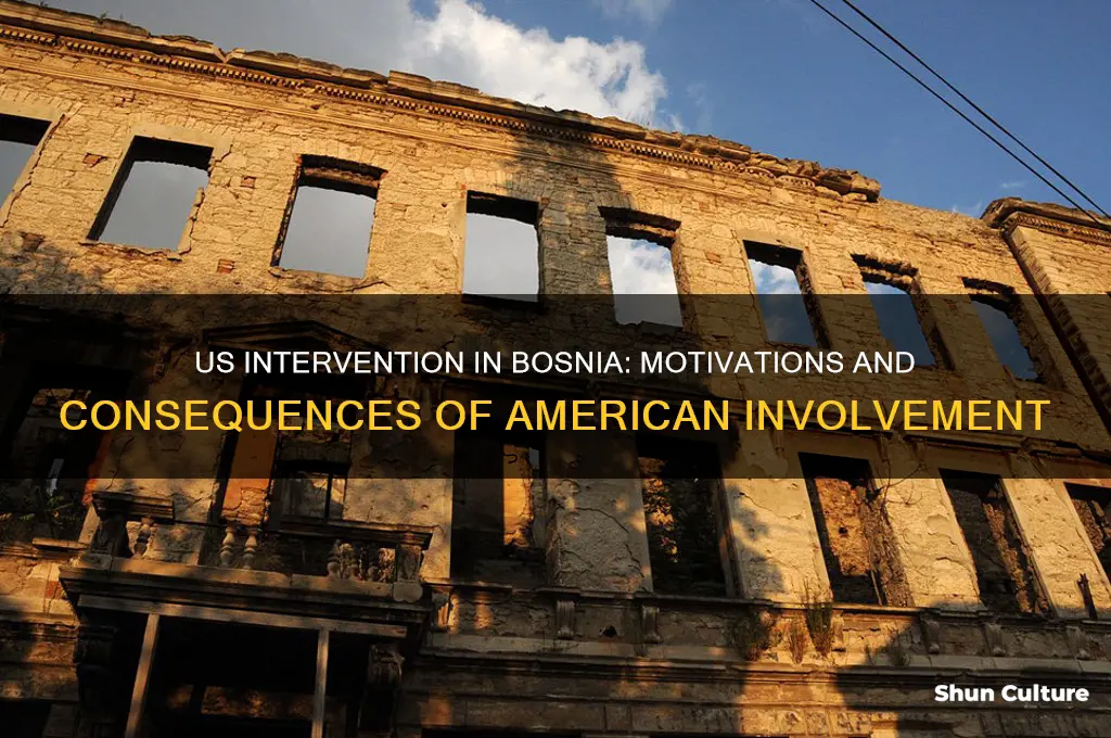 why did the united states interfere with the bosnian war