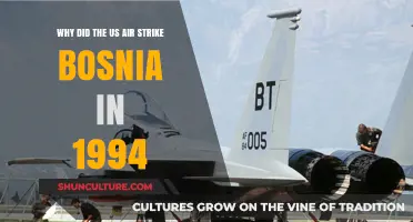 US Air Strikes in Bosnia 1994: Reasons Behind the Intervention
