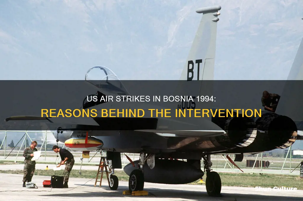 why did the us air strike bosnia in 1994