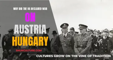 US Entry into WWI: Austria-Hungary's Role
