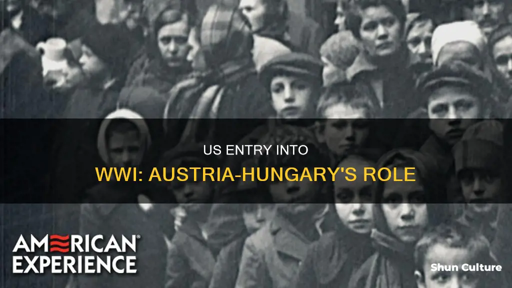 why did the us declared war on austria hungary