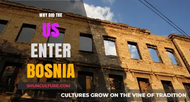 US Intervention in Bosnia: Motivations and Strategic Implications Explained