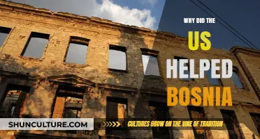 US Intervention in Bosnia: Humanitarian Aid or Strategic Interest?