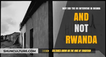 Bosnia vs. Rwanda: US Intervention Choices and Moral Dilemmas