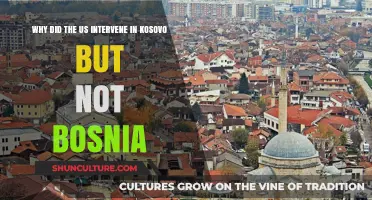 Kosovo vs. Bosnia: US Intervention Double Standards Explained