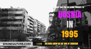 US Troops in Bosnia 1995: Mission, Impact, and Legacy Explained