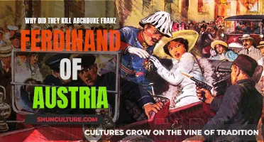 Archduke's Assassination: The Spark of World War I